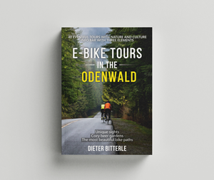 Book Cover Design by Ryan Munir for this project | Design: #30803365