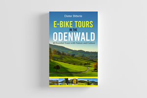 Book Cover Design by wolfwud for this project | Design #30802435