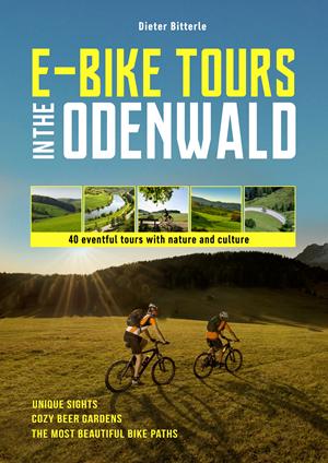 Book Cover Design by Lpross for this project | Design #30804270