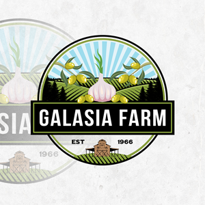 Logo Design by Pegasus