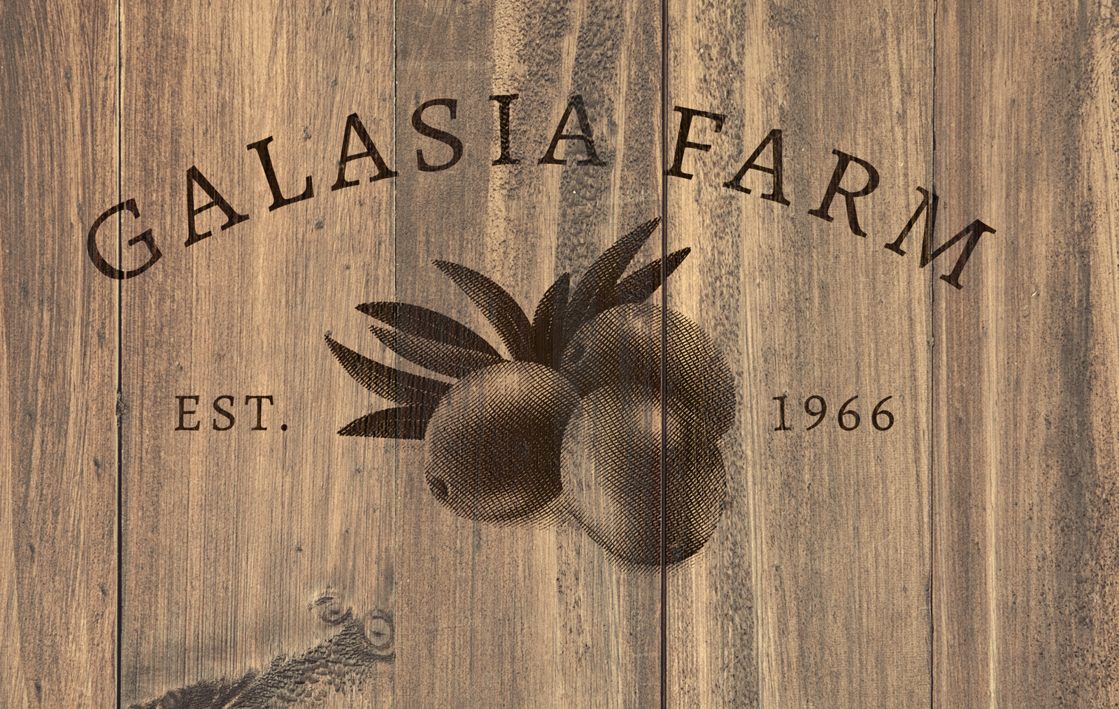 Logo Design by J. G. Willie for this project | Design #30840918