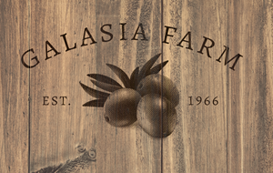 Logo Design by J. G. Willie for this project | Design: #30840918