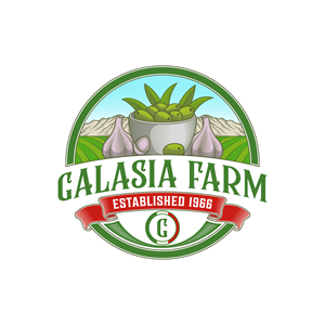 Logo Design by Anderwork