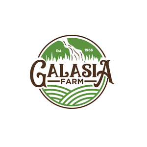 Logo Design by Nabin Bairagi