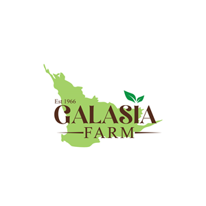 Logo Design by LAXMI DESIGNHUB for this project | Design: #30819392