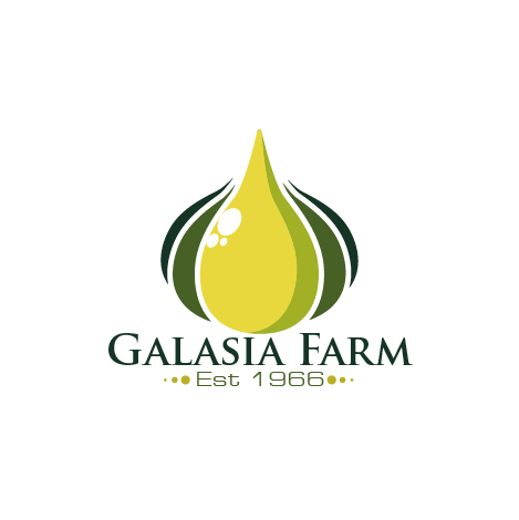 Logo Design by marcos for this project | Design #30813467