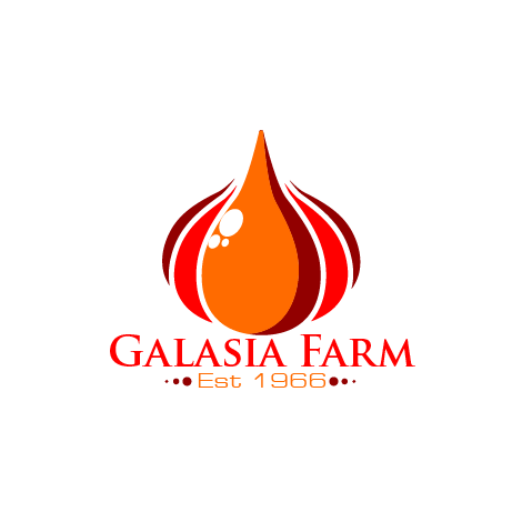 Logo Design by marcos for this project | Design #30833375