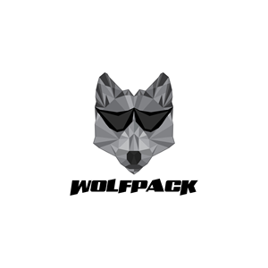 Logo Design by Faysal Mahmud 2