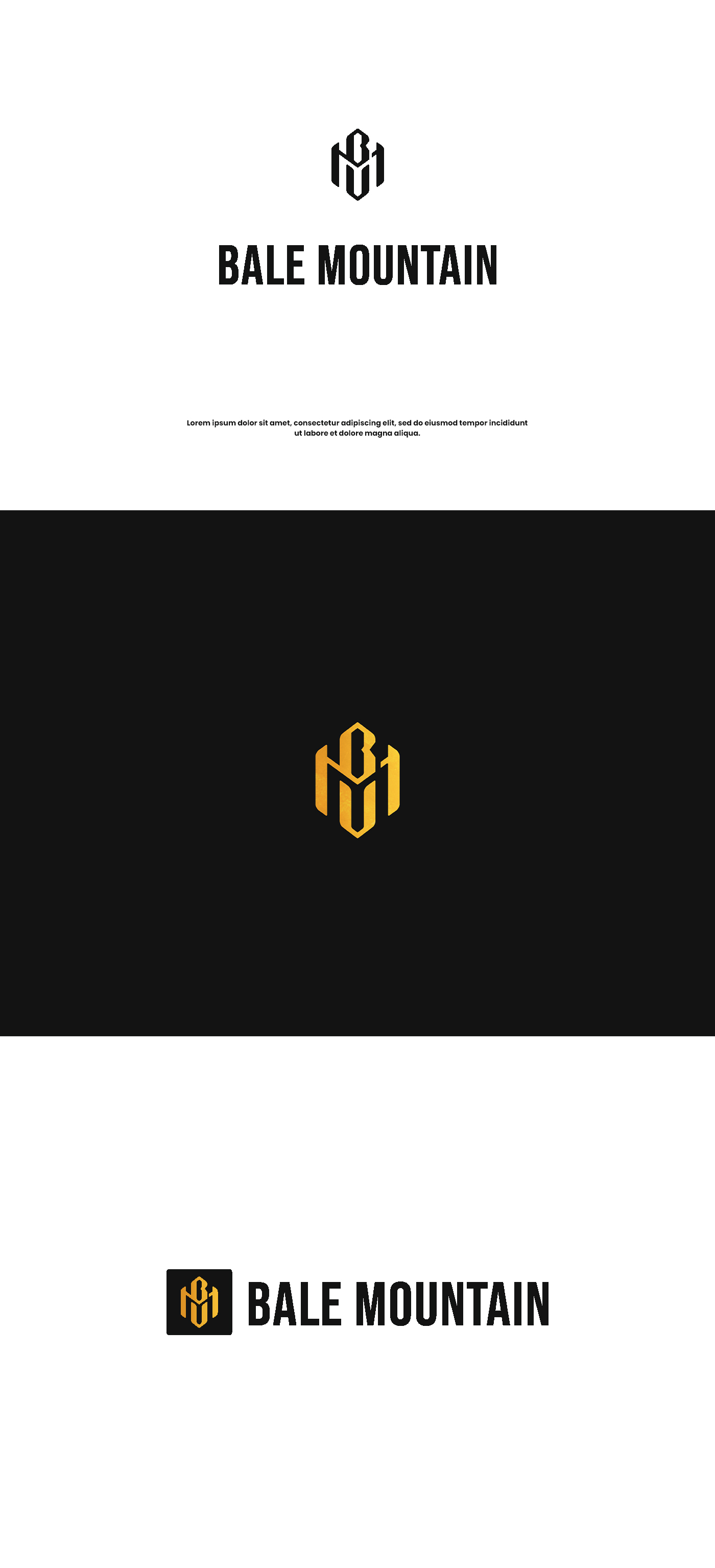 Design de Logo par Tornado Design pour Bale Mountain Ventures  | Design #30831807