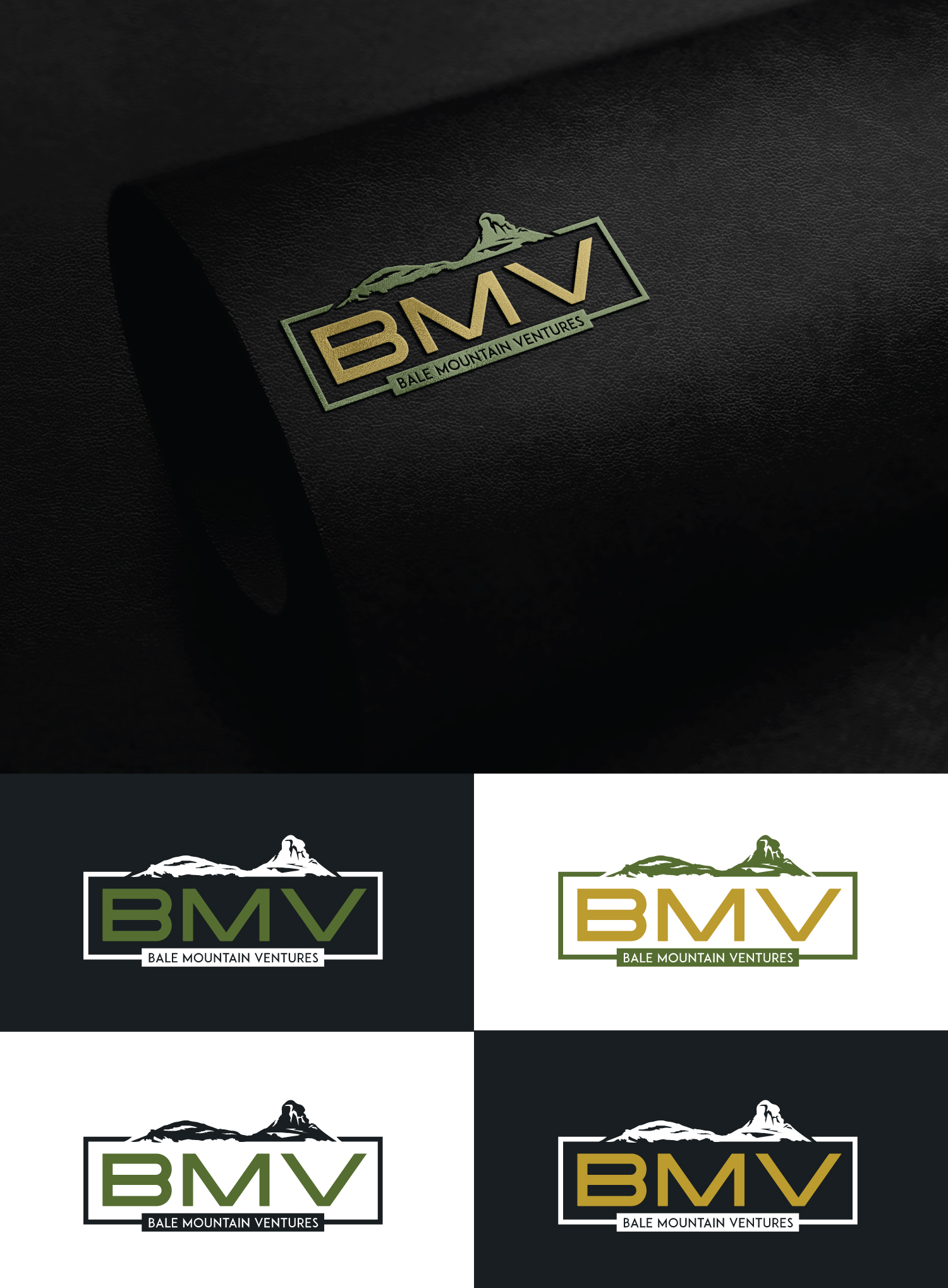 Logo Design by StromDesignHub for Bale Mountain Ventures  | Design #30808009