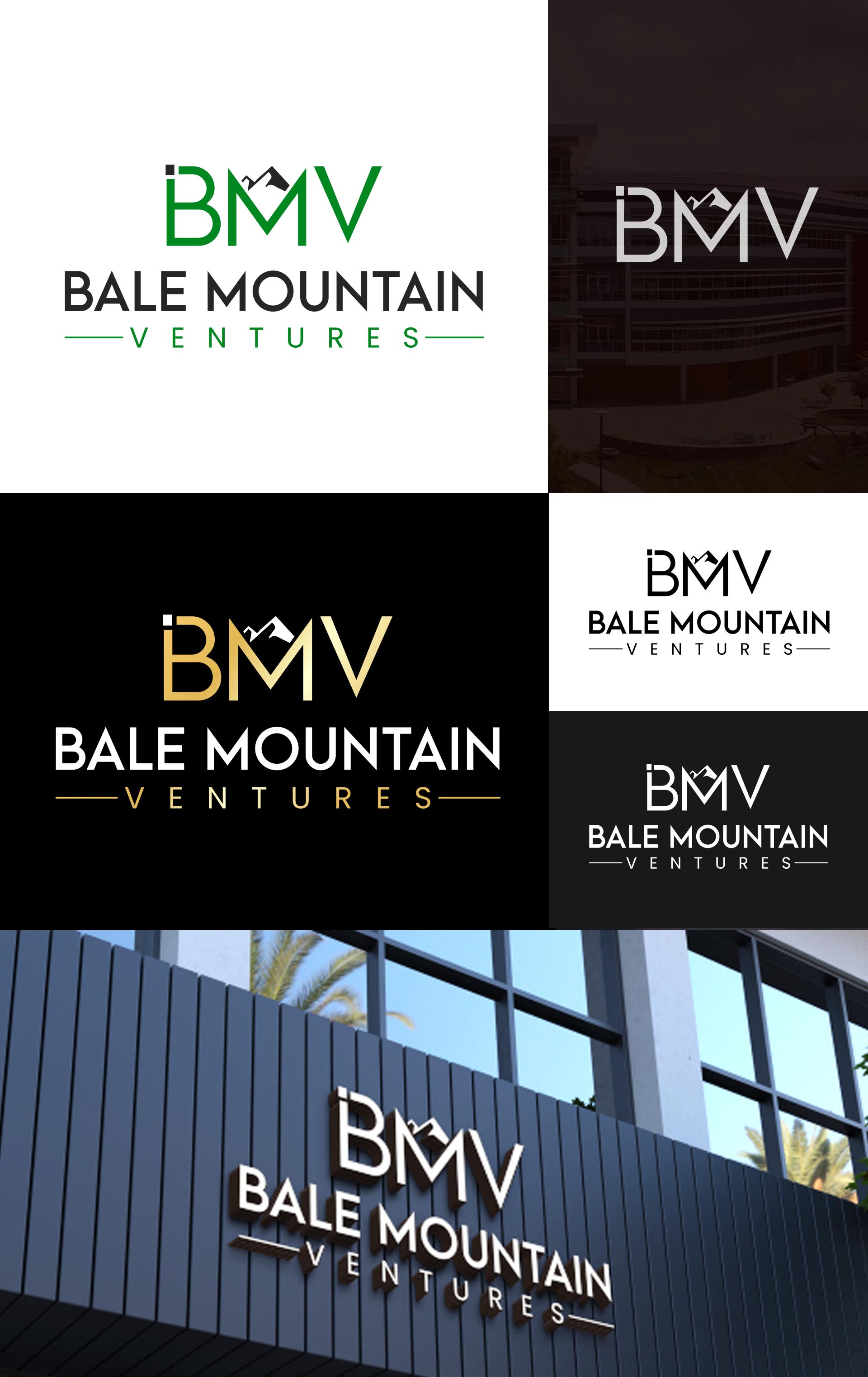 Design de Logo par Design Athics pour Bale Mountain Ventures  | Design #30808864