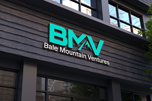Diseño de Logo por Kavth para Bale Mountain Ventures  | Diseño: #30833693