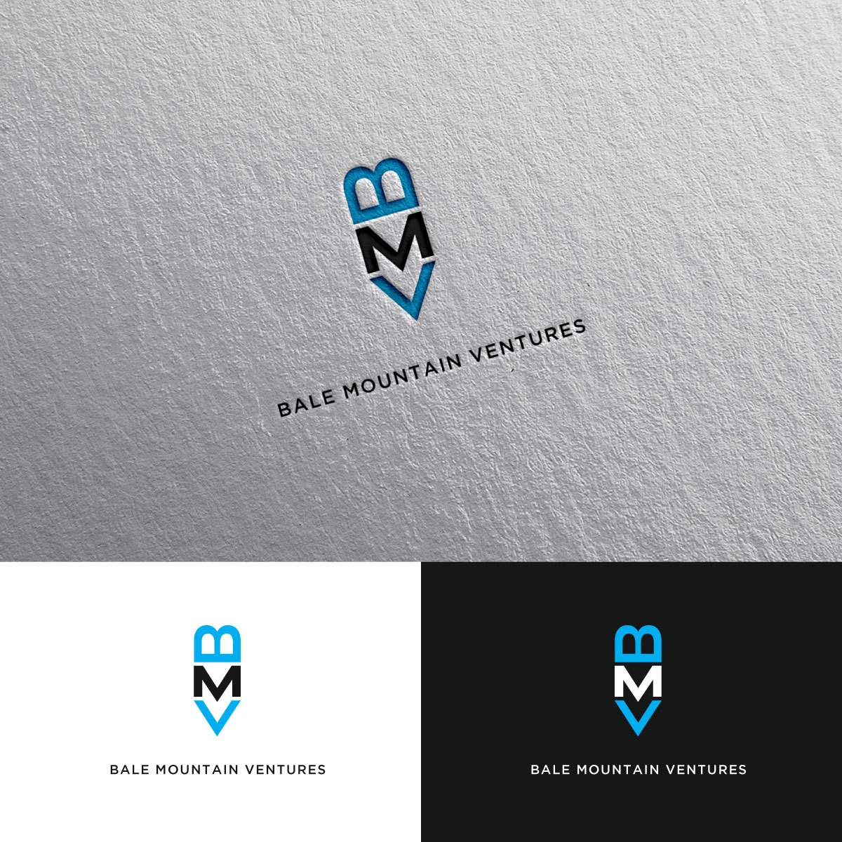 Design de Logo par chris Ray pour Bale Mountain Ventures  | Design #30805370