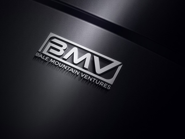 Design de Logo par Logo24.com pour Bale Mountain Ventures  | Design #30804040