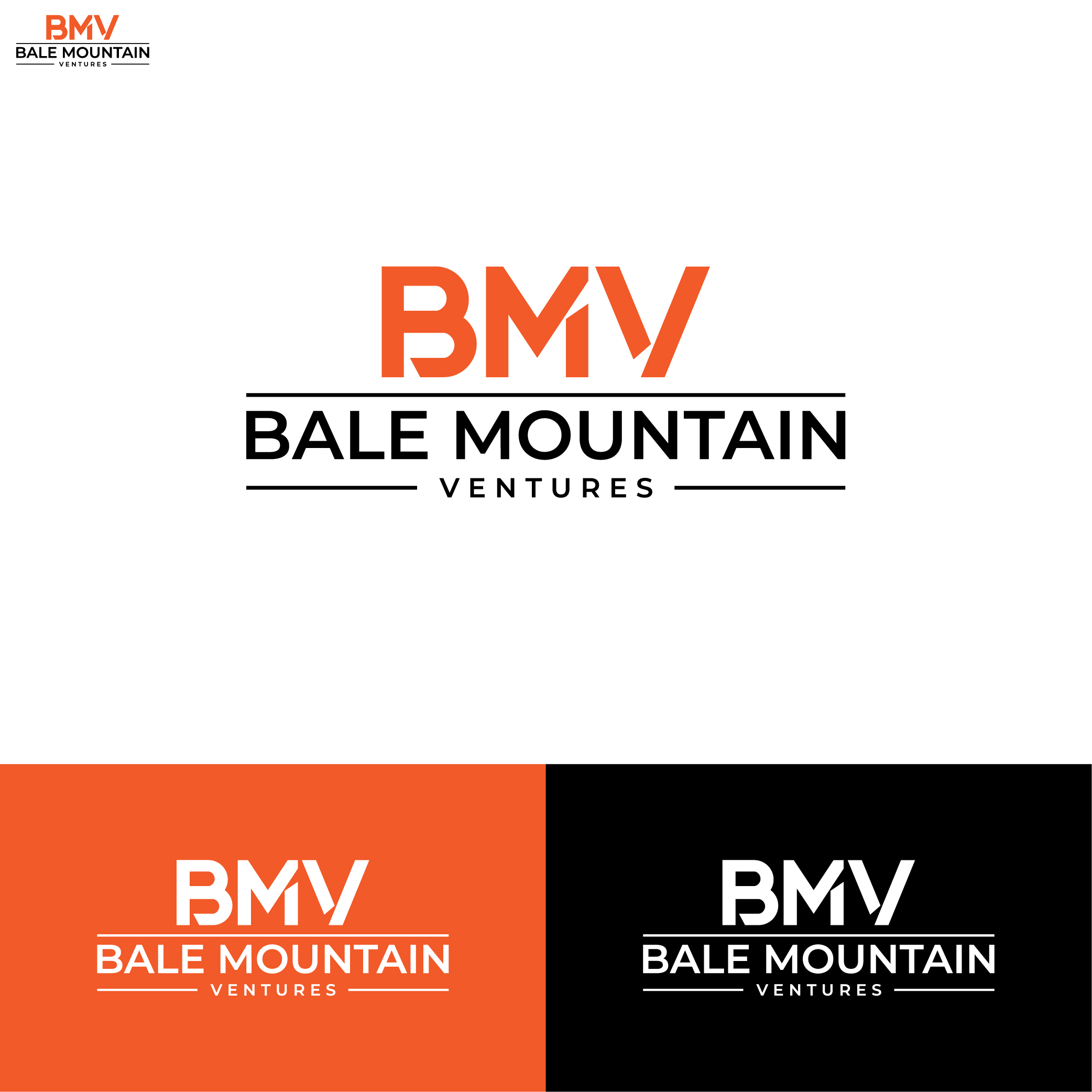 Logo Design by designer profile for Bale Mountain Ventures  | Design #30812503