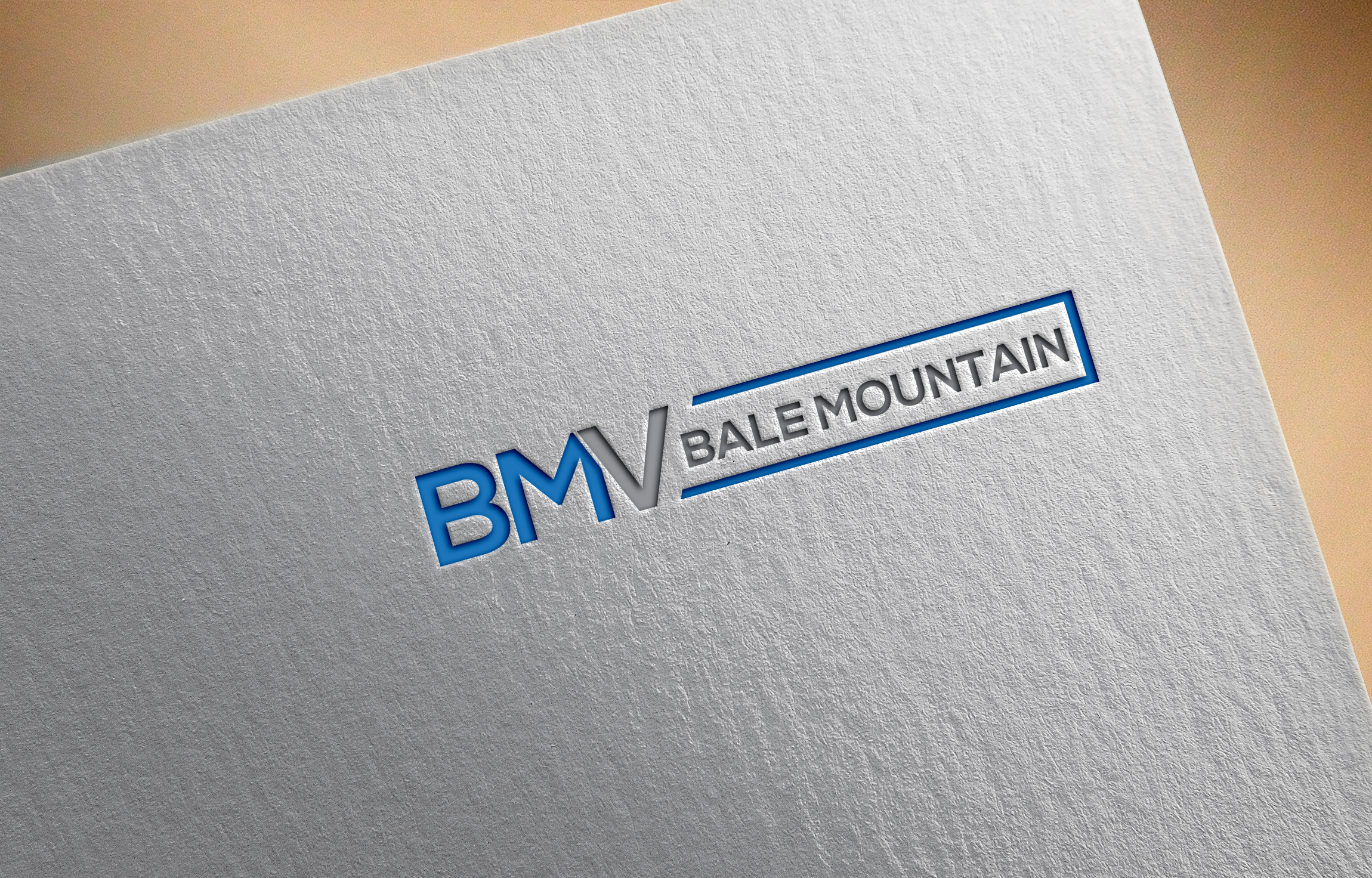 Design de Logo par Ruma aktar pour Bale Mountain Ventures  | Design #30812106