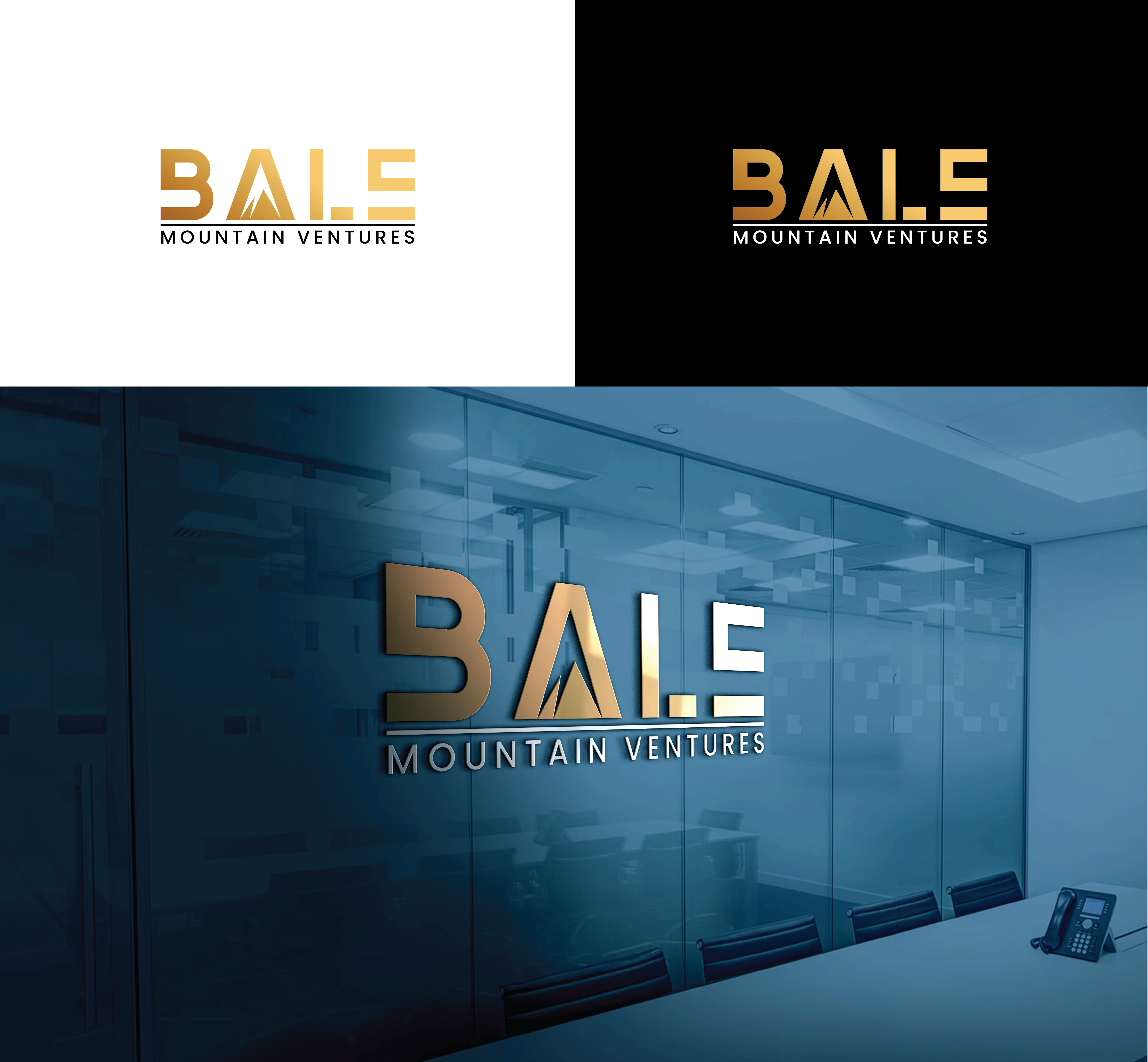 Diseño de Logo por Jaye95 para Bale Mountain Ventures  | Diseño #30838670
