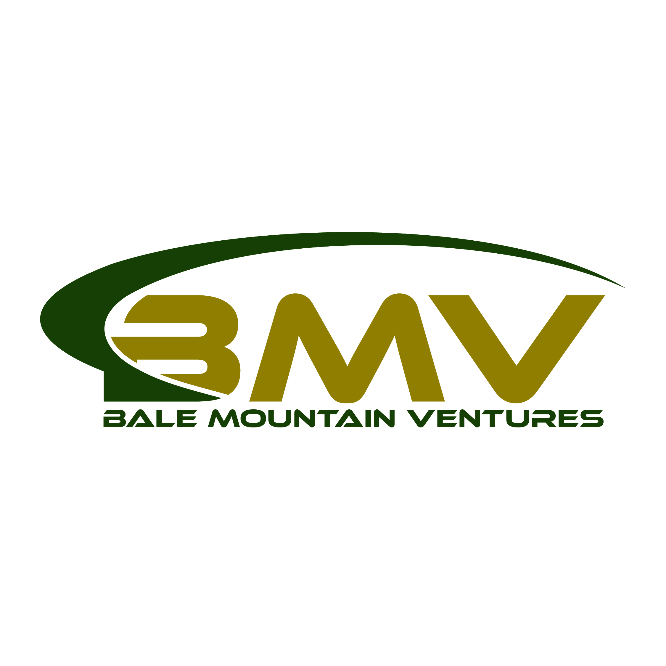 Design de Logo par BANI GD pour Bale Mountain Ventures  | Design #30813017