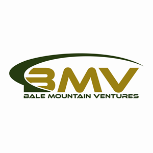 Logo Design by BANI GD