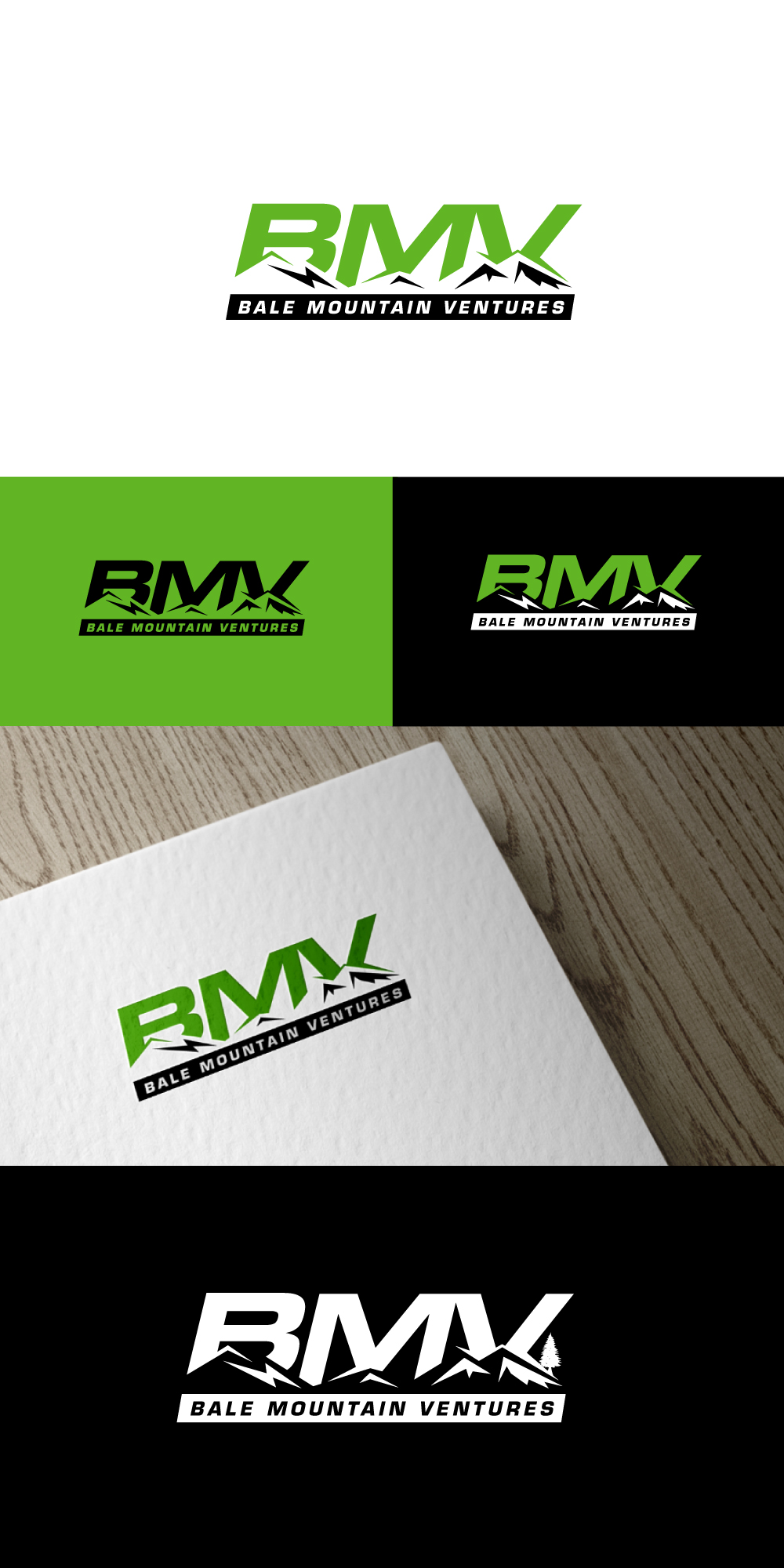 Design de Logo par AR- RAZZAAQ pour Bale Mountain Ventures  | Design #30808000