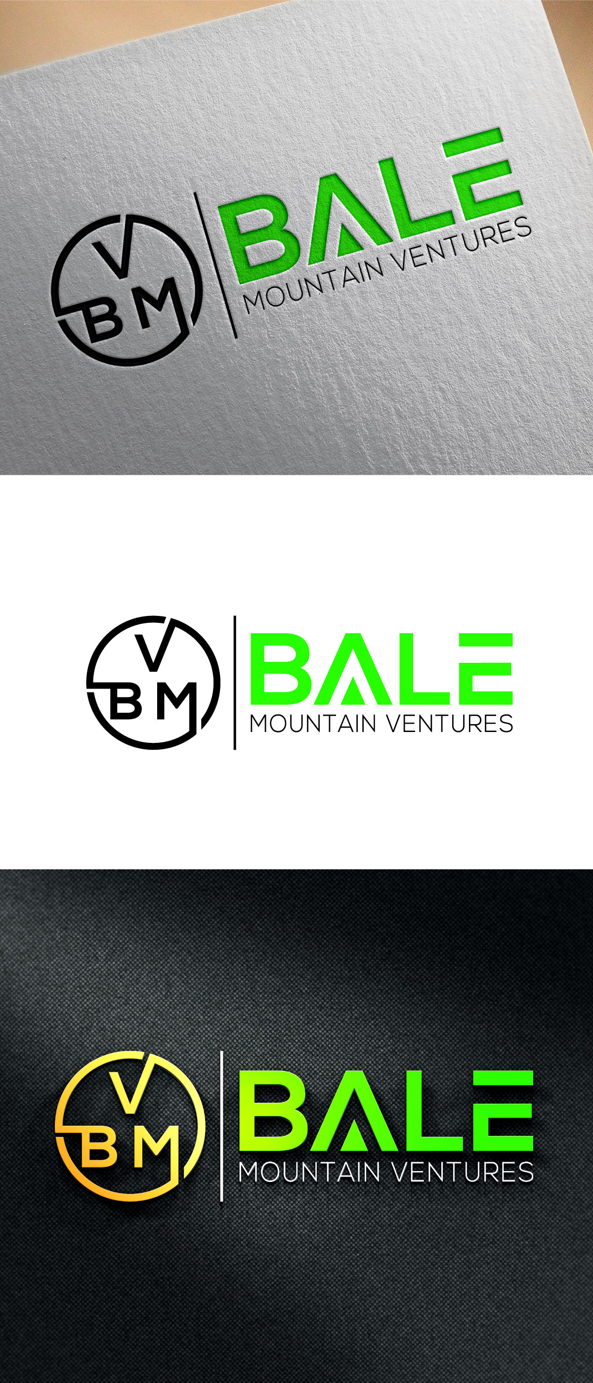 Logo Design by Masum01 for Bale Mountain Ventures  | Design #30811723