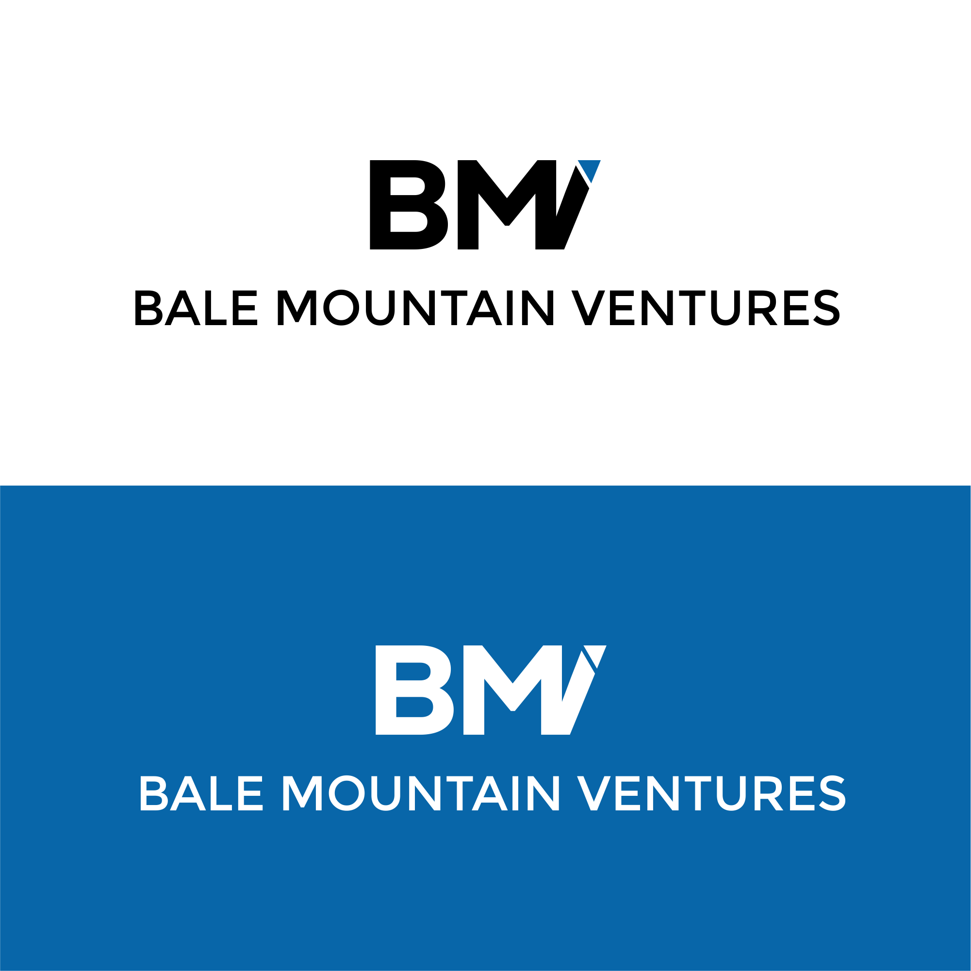 Logo Design by initials_MAN for Bale Mountain Ventures  | Design #30811654