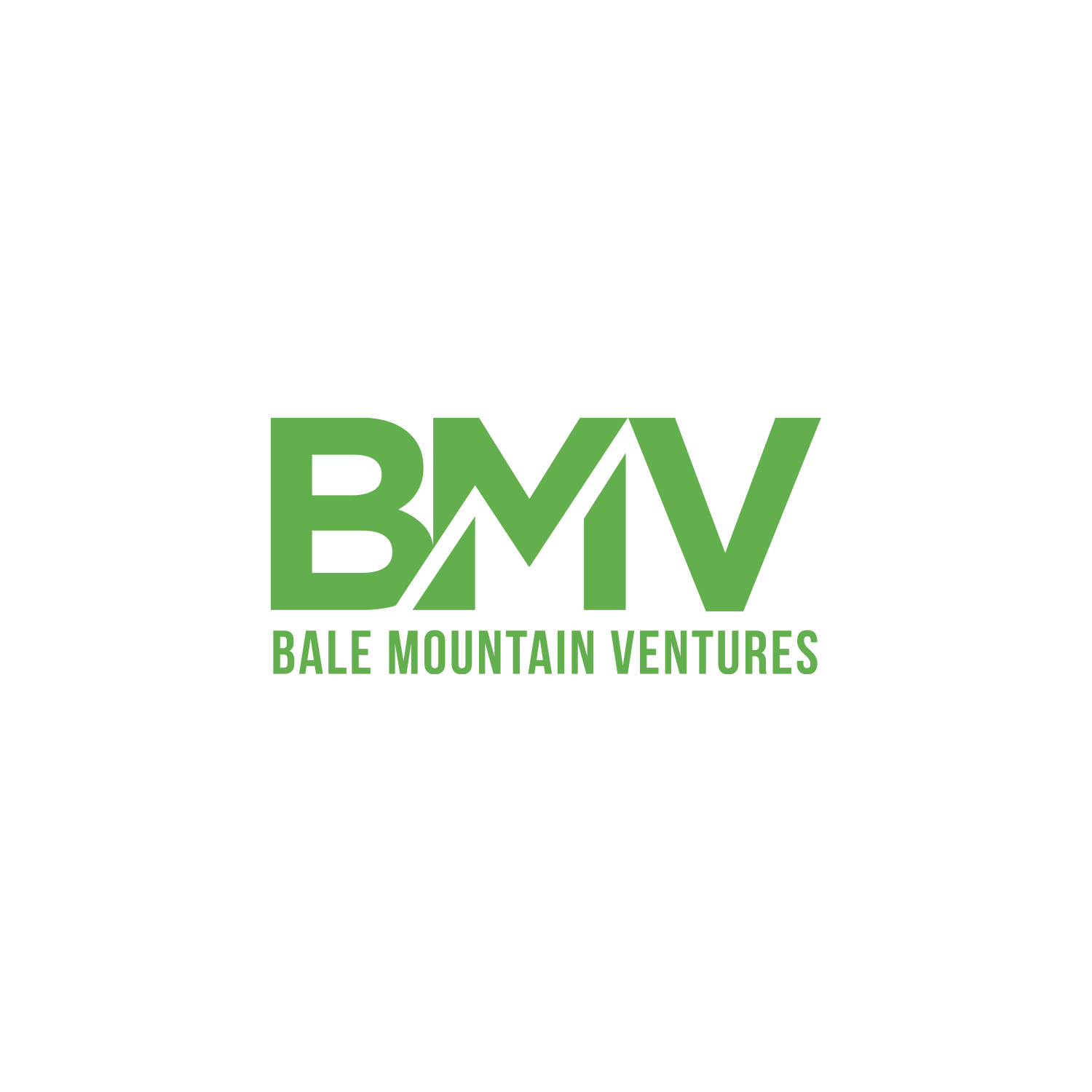Diseño de Logo por Grafactory para Bale Mountain Ventures  | Diseño #30807948