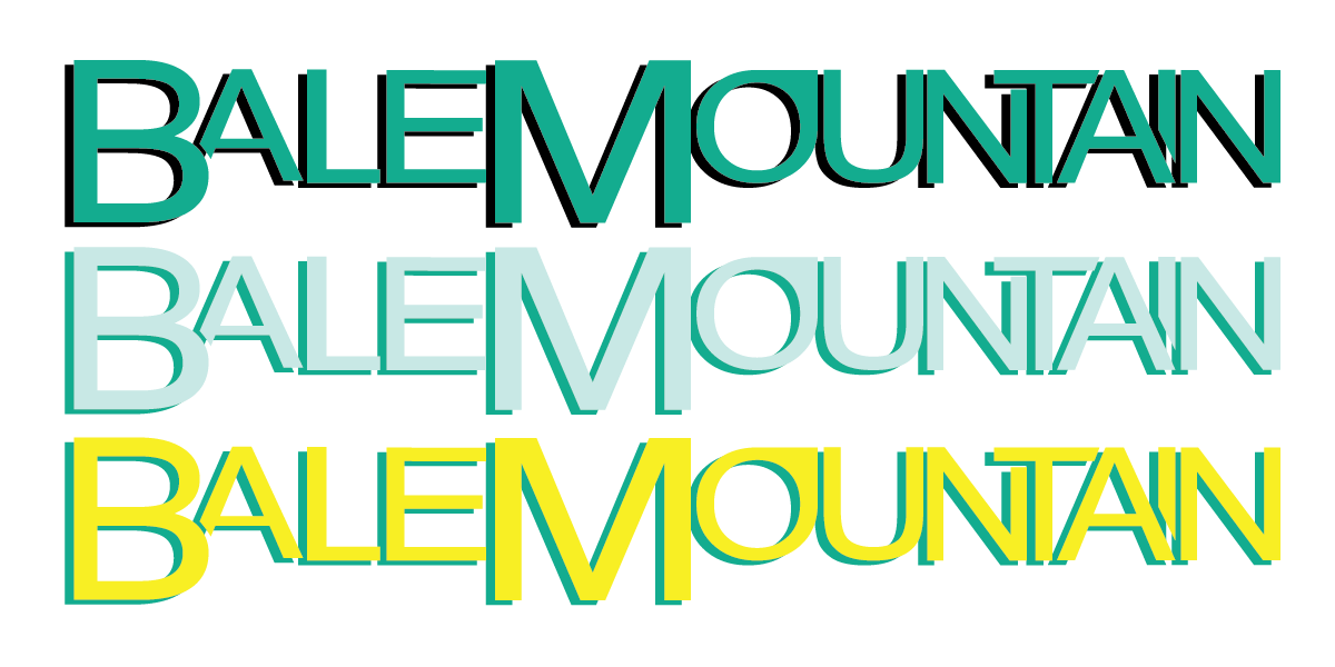 Design de Logo par FaithDesigns pour Bale Mountain Ventures  | Design #30810886