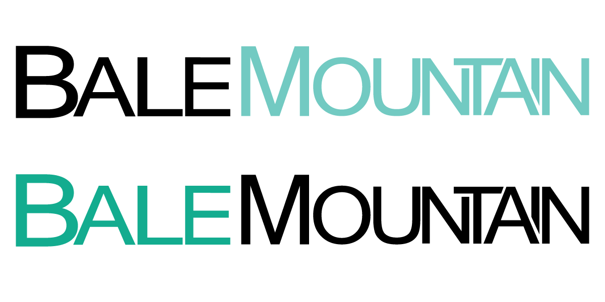 Logo Design by FaithDesigns for Bale Mountain Ventures  | Design #30810889