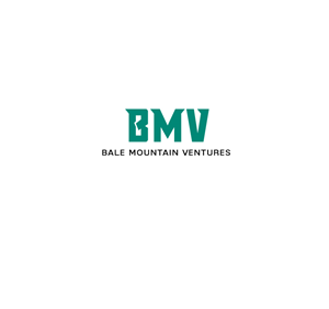 Design de Logo par instudio pour Bale Mountain Ventures  | Design : #30814933
