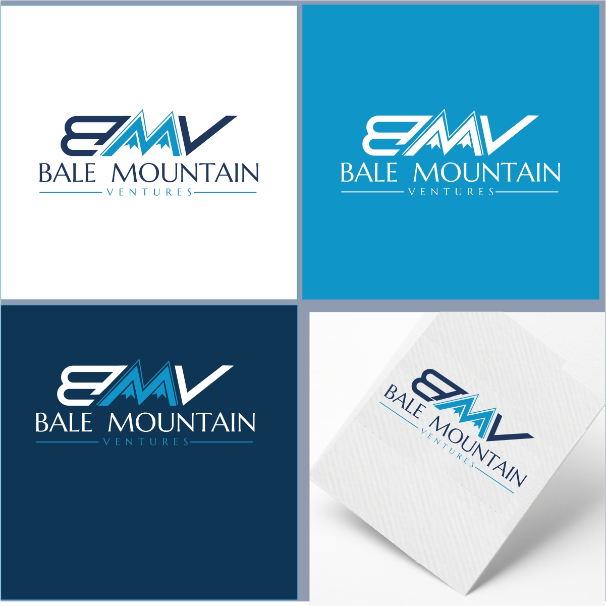 Design de Logo par creative.bugs pour Bale Mountain Ventures  | Design #30807328