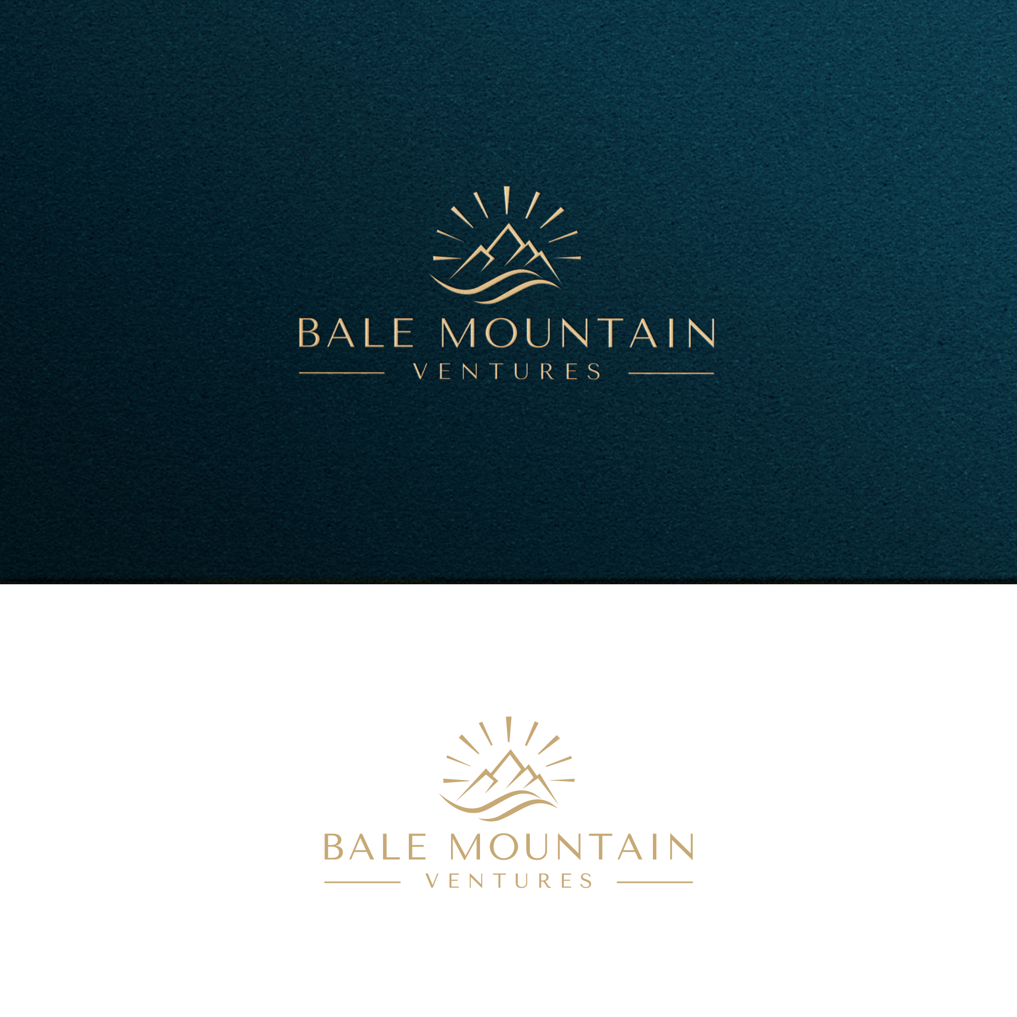 Logo Design by zeykan for Bale Mountain Ventures  | Design #30838344