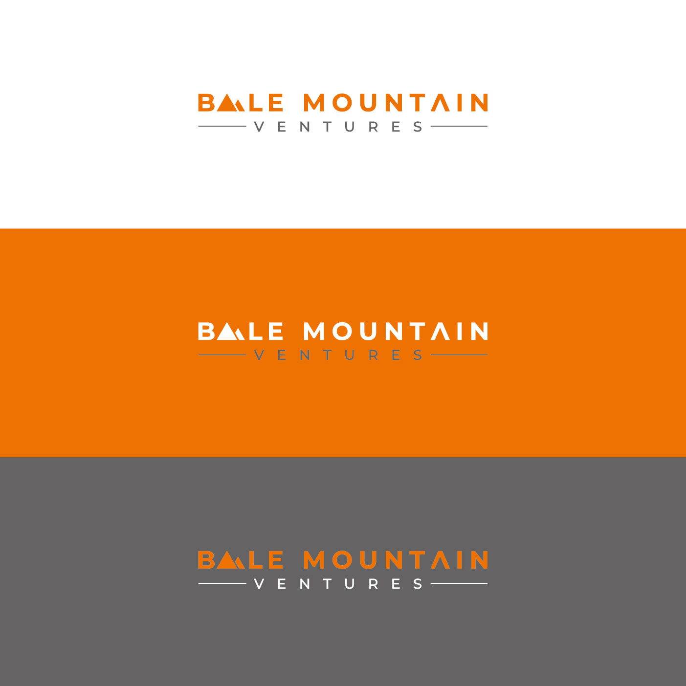 Design de Logo par nandkumar pour Bale Mountain Ventures  | Design #30805265
