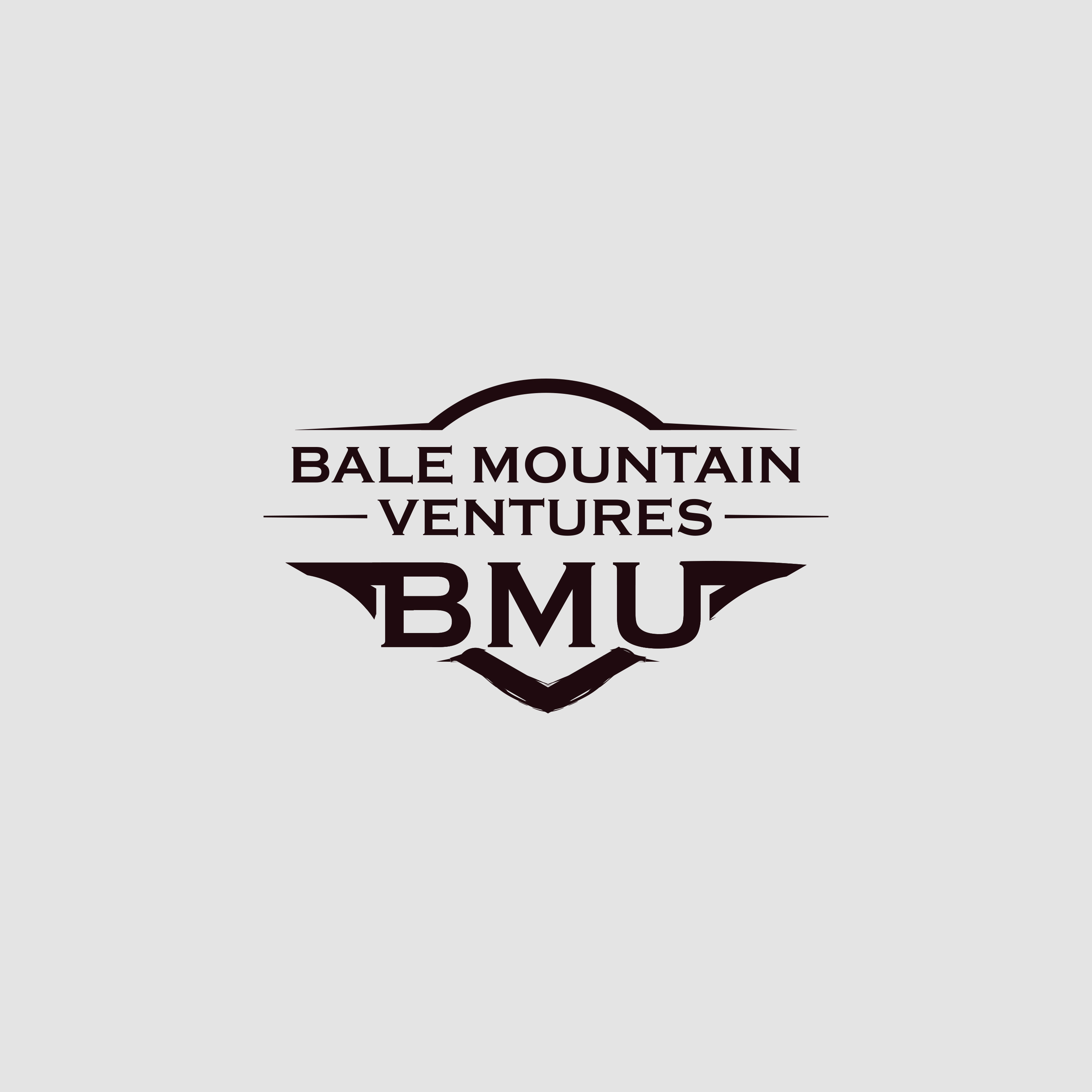 Logo Design by vramar.roy for Bale Mountain Ventures  | Design #30806314