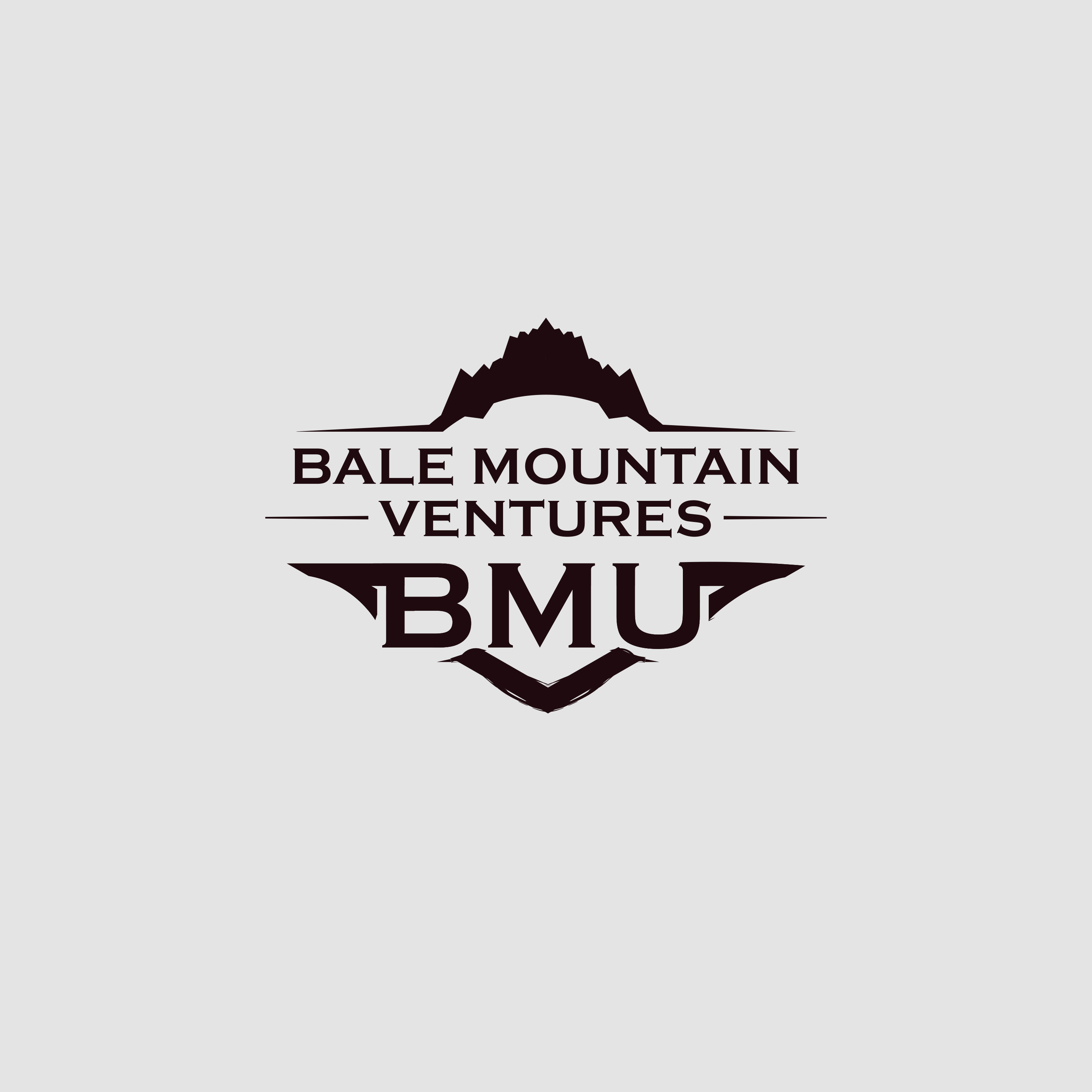 Design de Logo par vramar.roy pour Bale Mountain Ventures  | Design #30806319