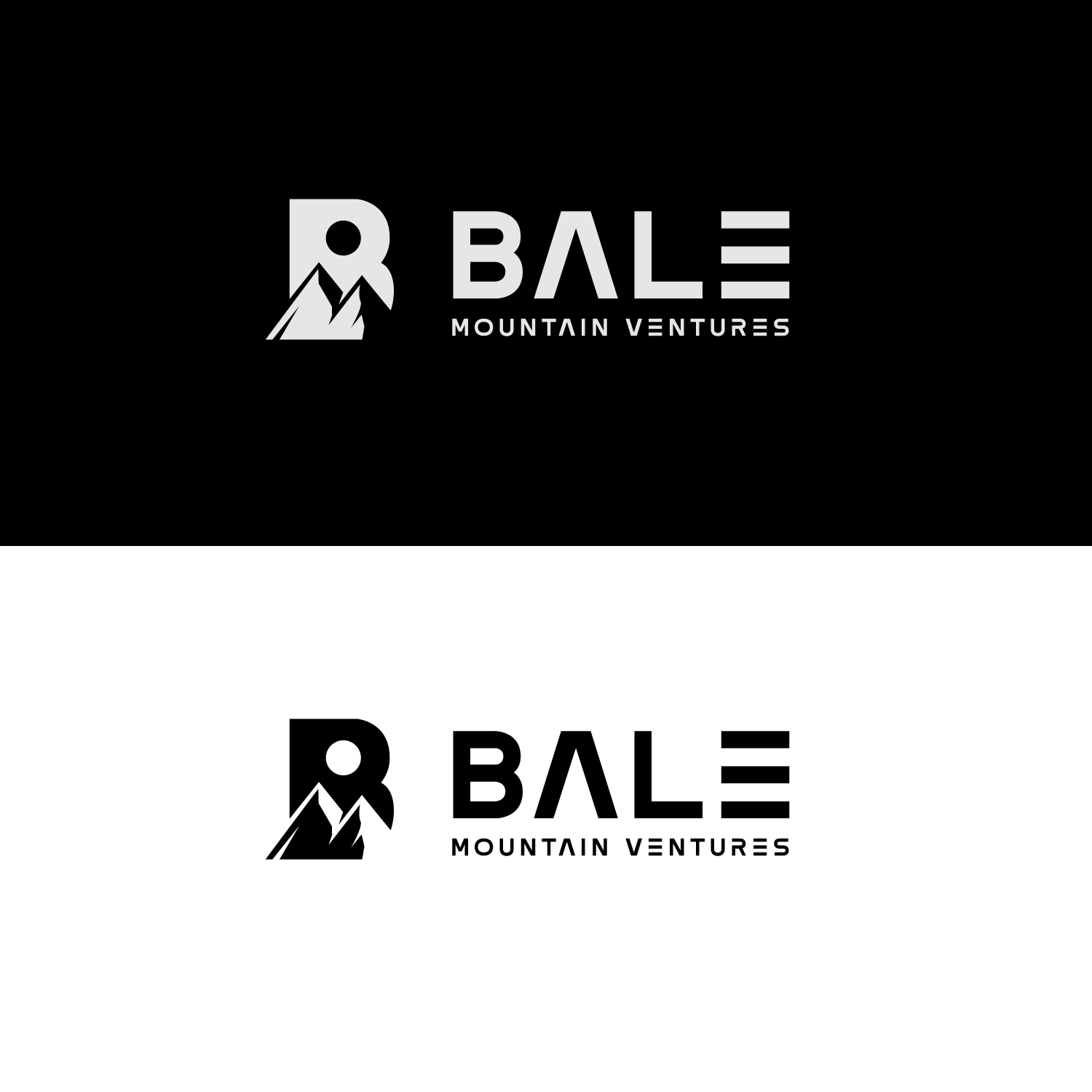 Diseño de Logo por Abdul 20 para Bale Mountain Ventures  | Diseño #30805126