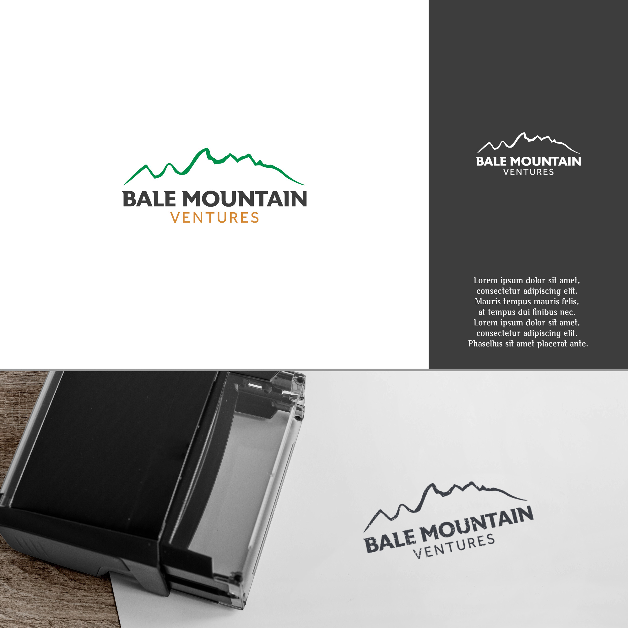 Design de Logo par Arjuna Design pour Bale Mountain Ventures  | Design #30806701