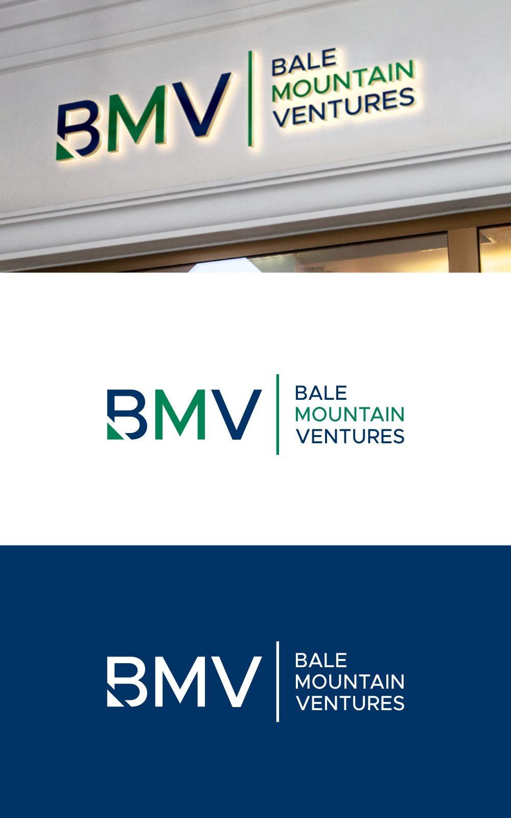 Logo Design by 92logo for Bale Mountain Ventures  | Design #30806620