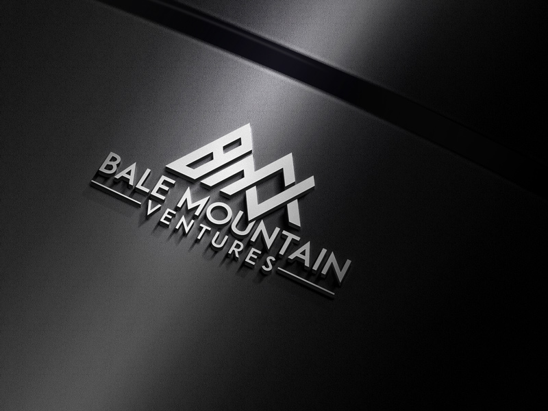 Diseño de Logo por jaxondesign para Bale Mountain Ventures  | Diseño #30804754