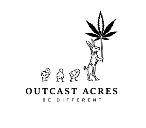 Logo Design by Meraki*