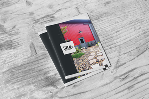 Design de Catalogue par turtle.des pour ce projet | Design : #30845049