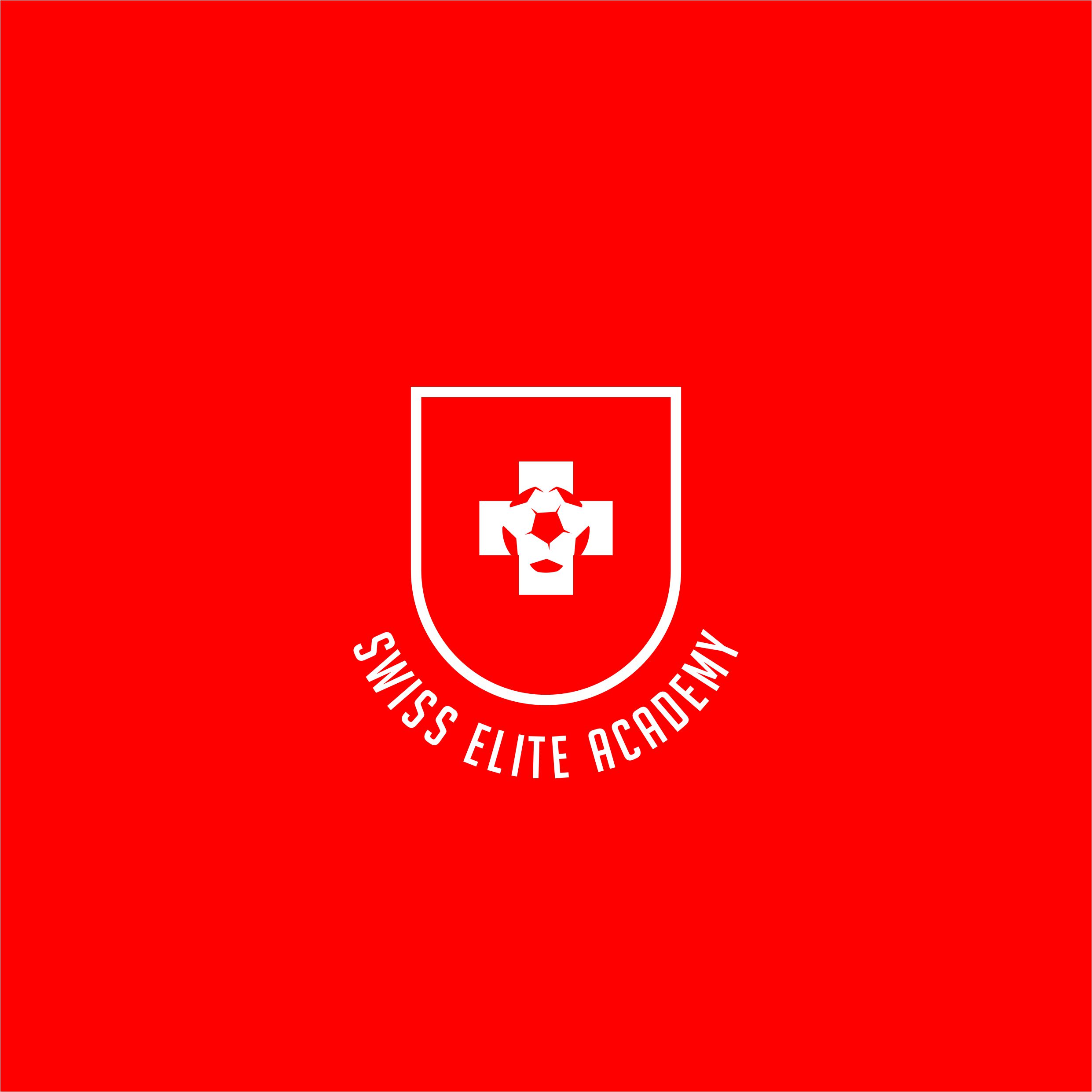 Diseño de Logo por Jeferson HP para este proyecto | Diseño #30816383