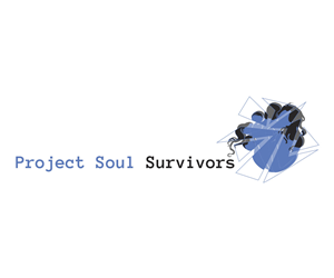 Logo Design by Cara Petrisse