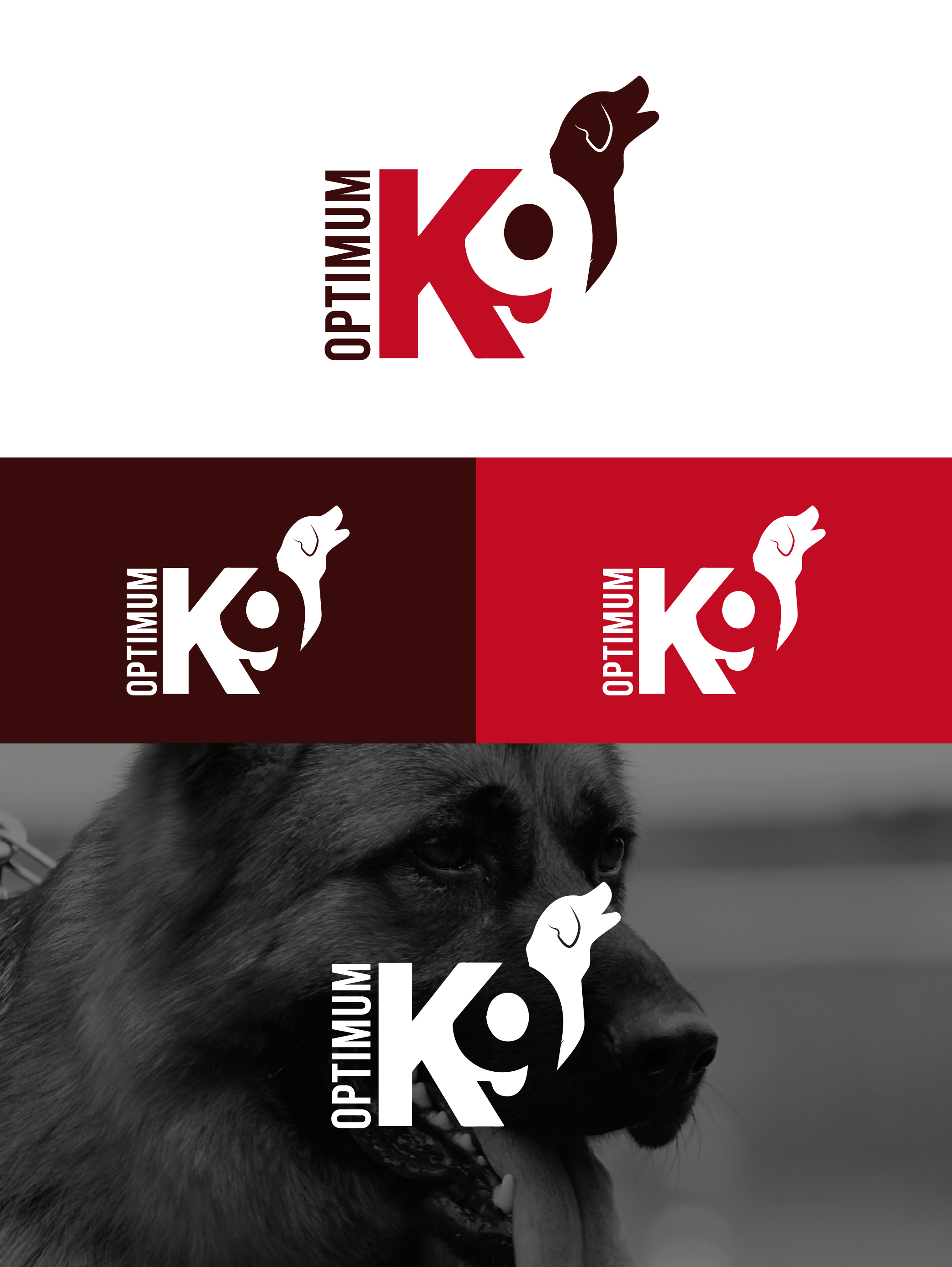Logo Design by idea2Design for this project | Design #30851928