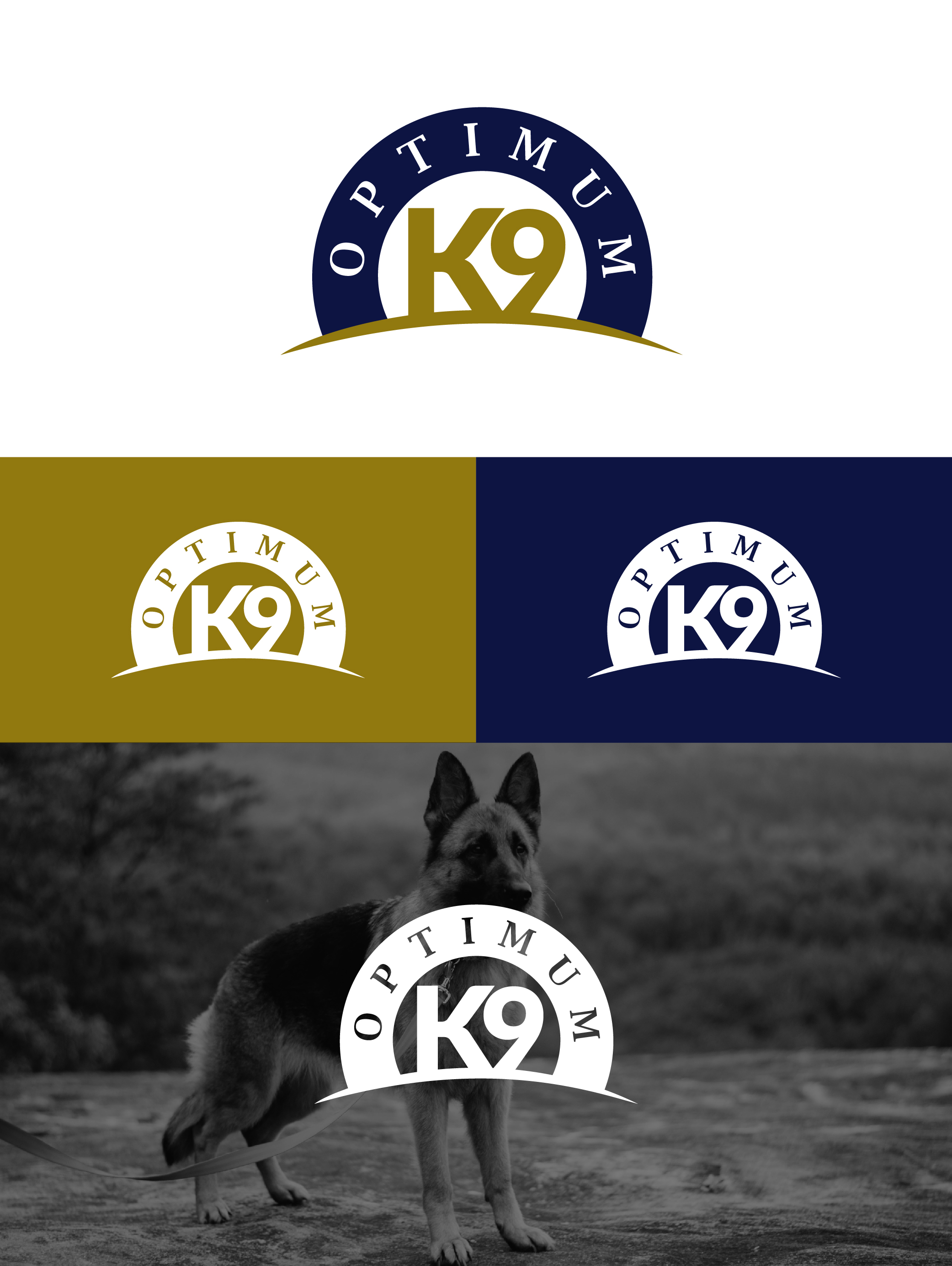 Logo Design by idea2Design for this project | Design #30851929