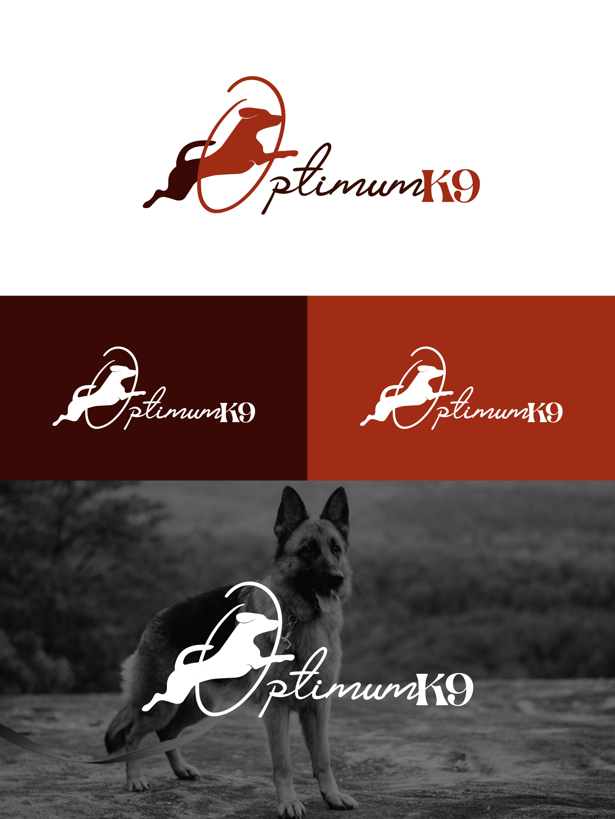 Logo Design by idea2Design for this project | Design #30851935