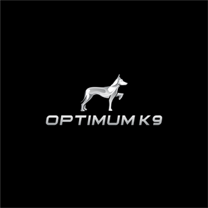 Logo Design by ThiagoB for this project | Design: #30845387