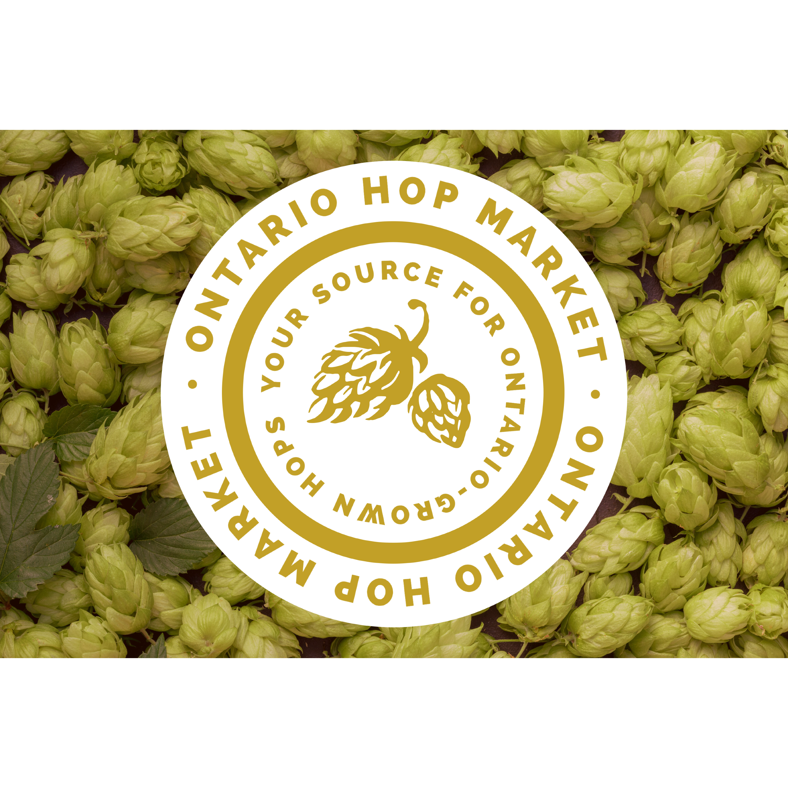 Logo Design by SoCal Design for The Great Canadian Hops Company Inc | Design #30881533