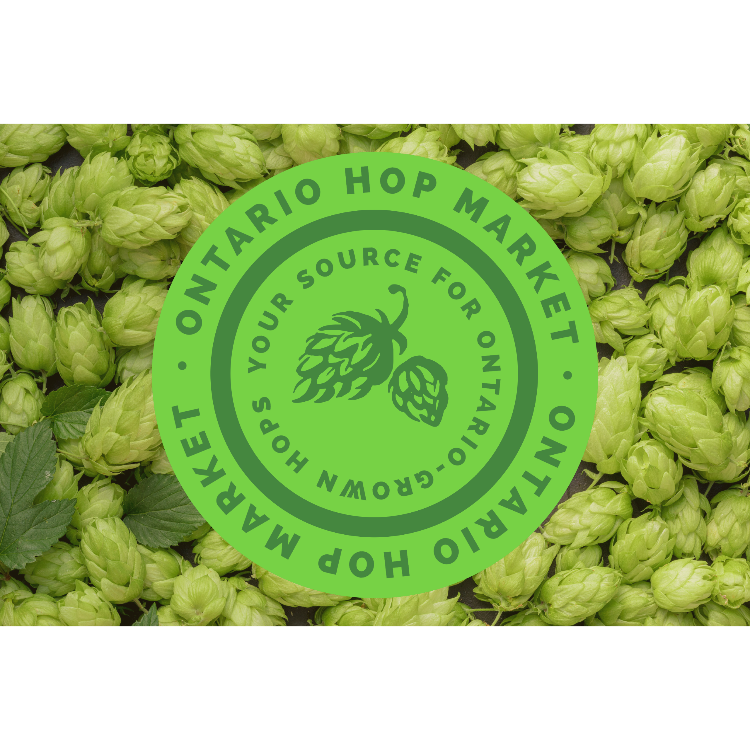 Logo Design by SoCal Design for The Great Canadian Hops Company Inc | Design #30881537