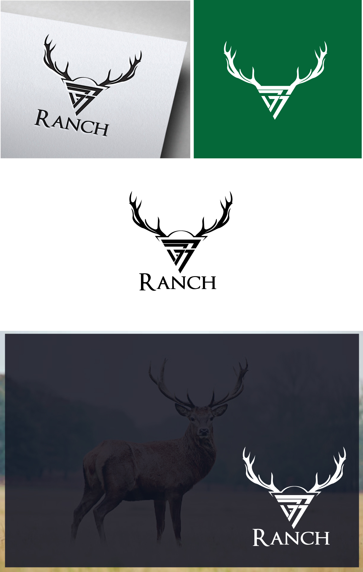 Diseño de Logo por Om Namah Shivay para este proyecto | Diseño #30829540